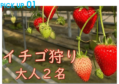 小泉農園のいちご狩り（大人2名分）
