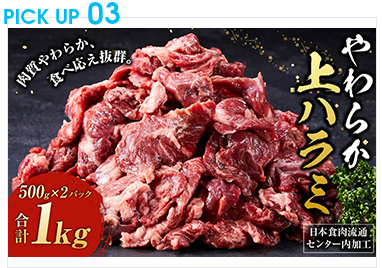 日本食肉流通センター内加工　やわらか上ハラミ　５００g×２パック